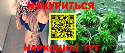 молекула духа Бердск