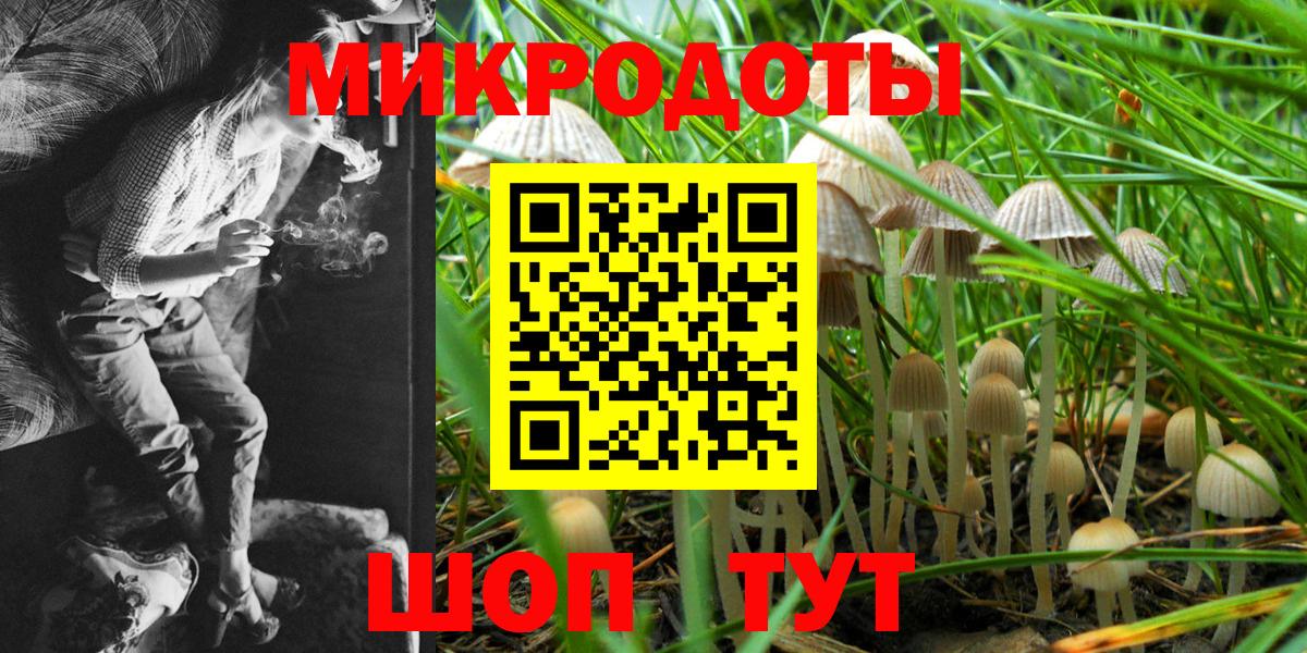 Галлюциногенные грибы Psilocybe Избербаш